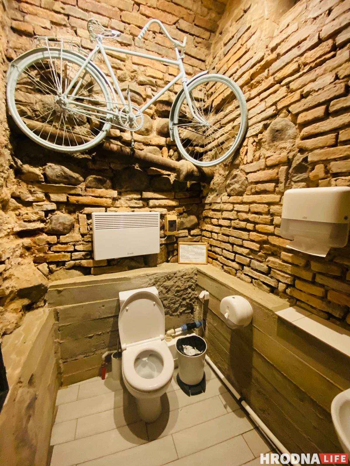 Велосипед и лейка для душа. Что ещё нашёл инспектор-кот в туалетах ...